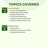 Lean Six Sigma Black Belt Self Paced e-Learning Course