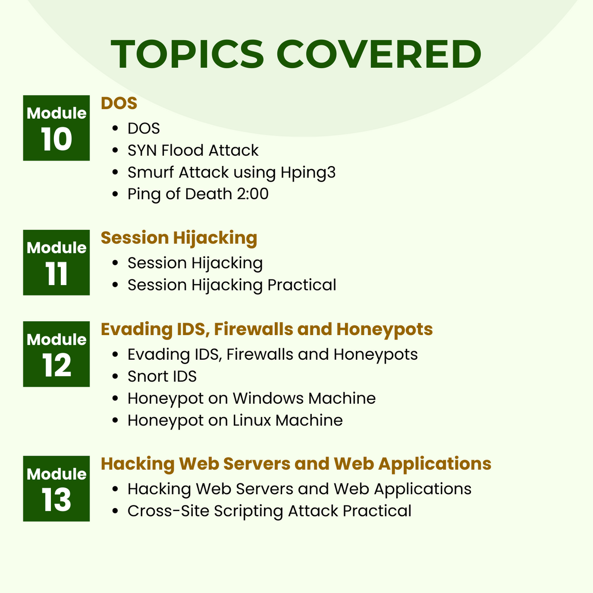 CertifiedEthicalHackerCEHv11_c