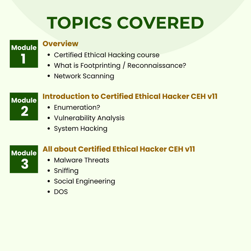 Advance Your Career With the Top Certified Ethical Hacker Online Advance Your Career With the Top Certified Ethical Hacker Online