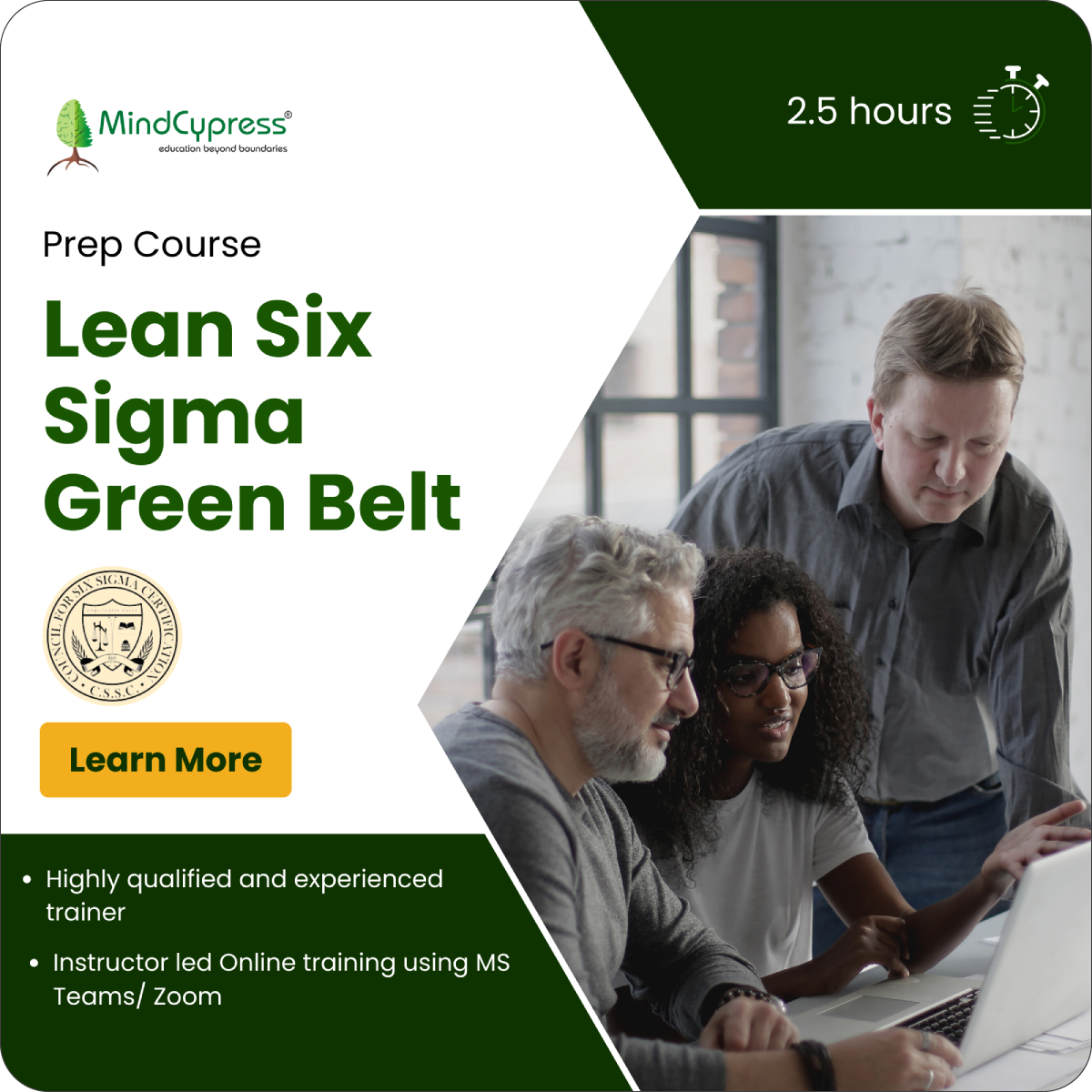 Lean Six Sigma Green Belt Self Paced ELearning Course & MindCypress